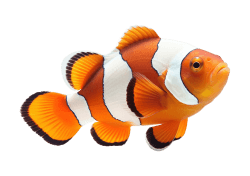 Acuario