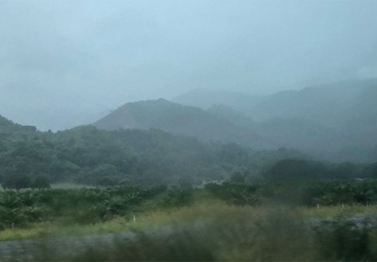 Día de neblina